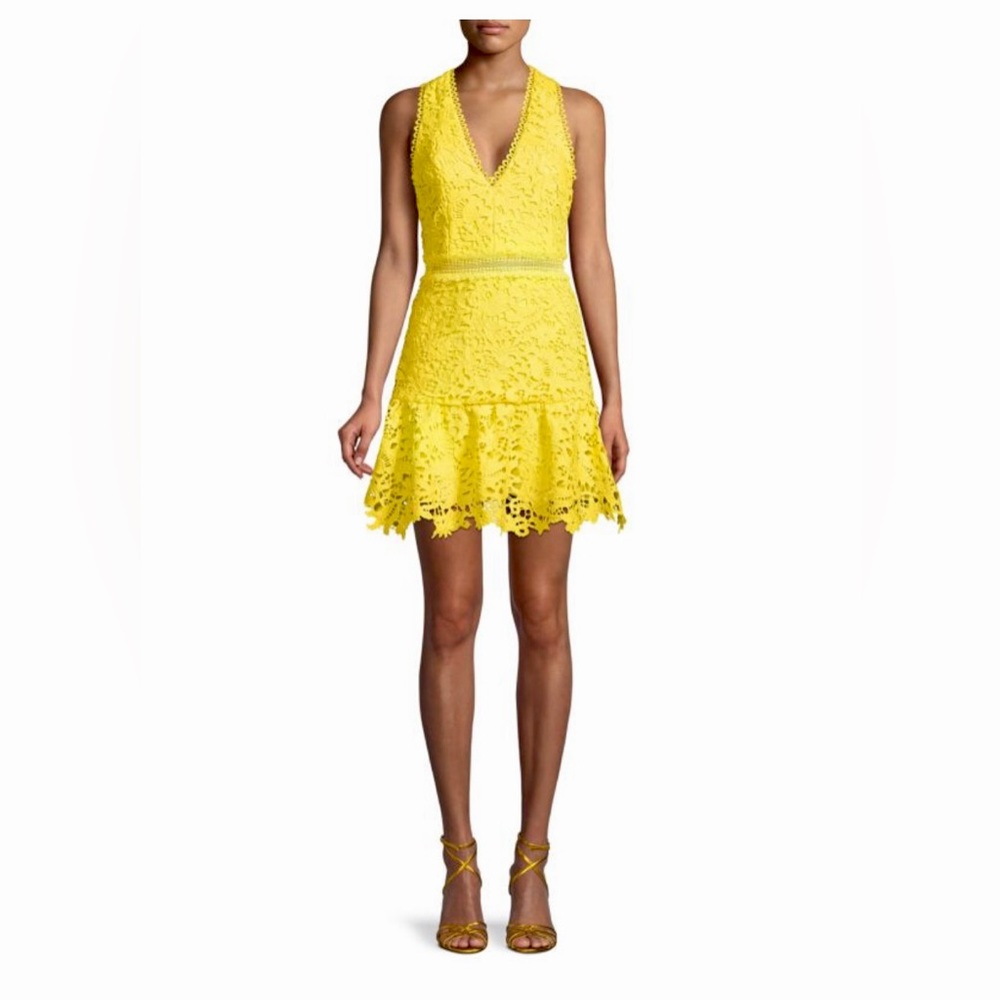 Alice + Olivia Crotchet Fit and Flare Drees